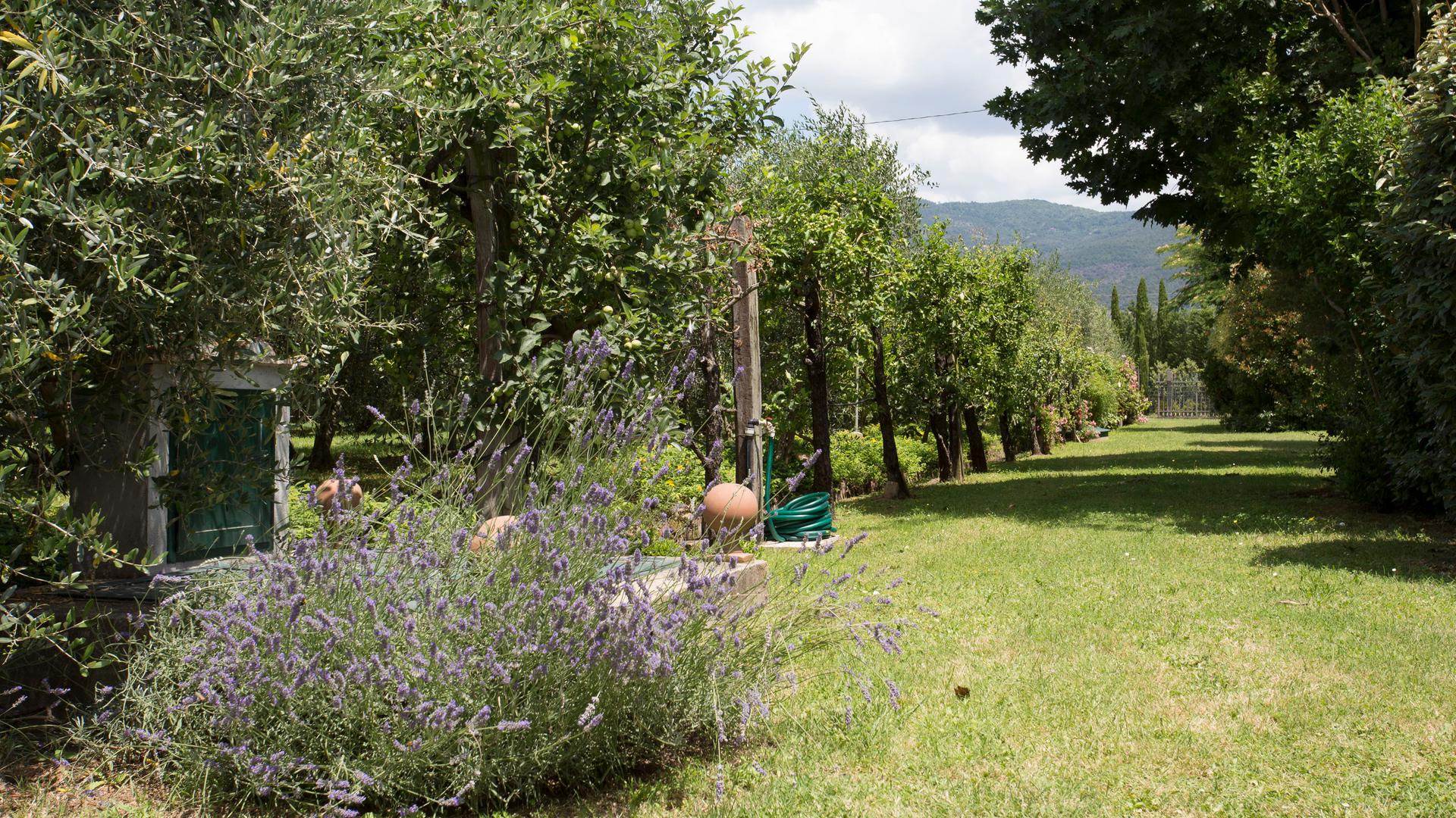 Agriturismo with swimming pool and garden in Cortona
